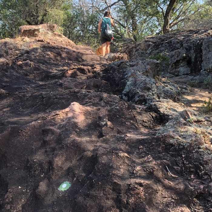 Near Devil's Backbone Nature Trail