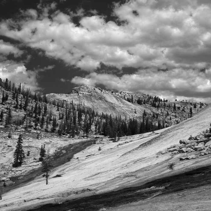 Looking up the Fletcher Creek drainage Near Emeric Creek Trail