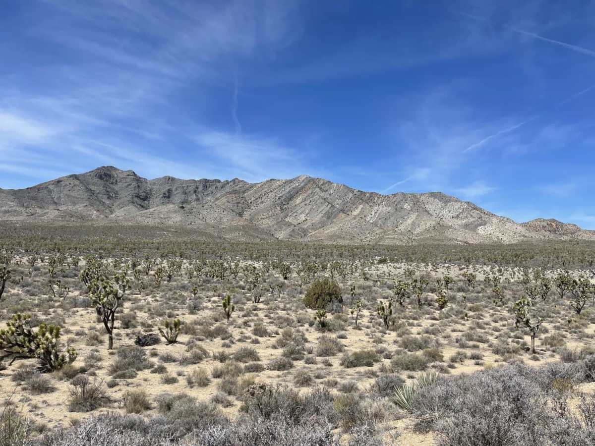 Eastern Zinc Mine Road photo 3