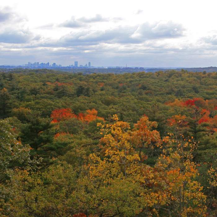 View from Stone Tower" courtesy of the Lynn Woods Ranger. Near Lynn Woods Loop