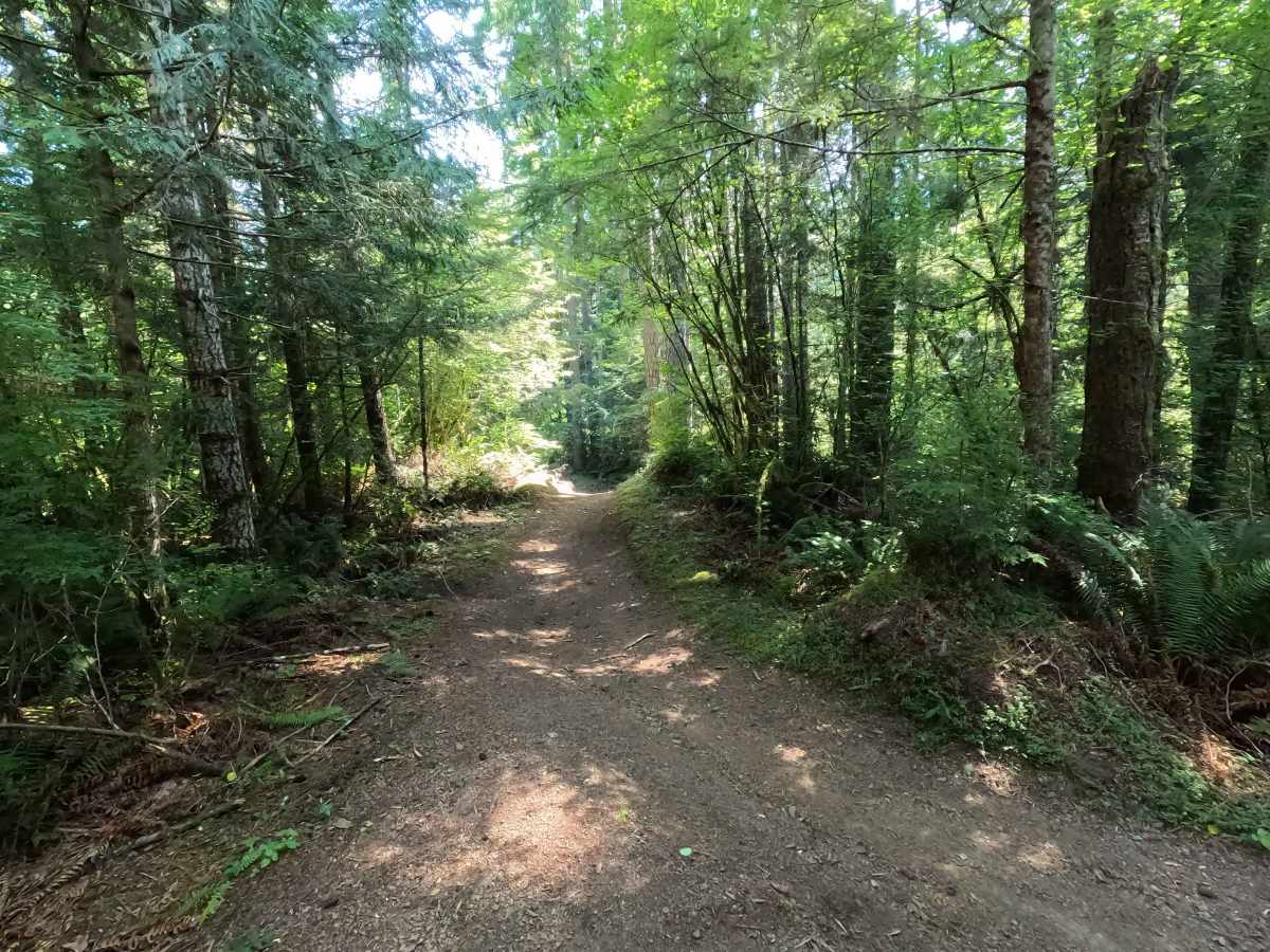 North Lyre trail photo