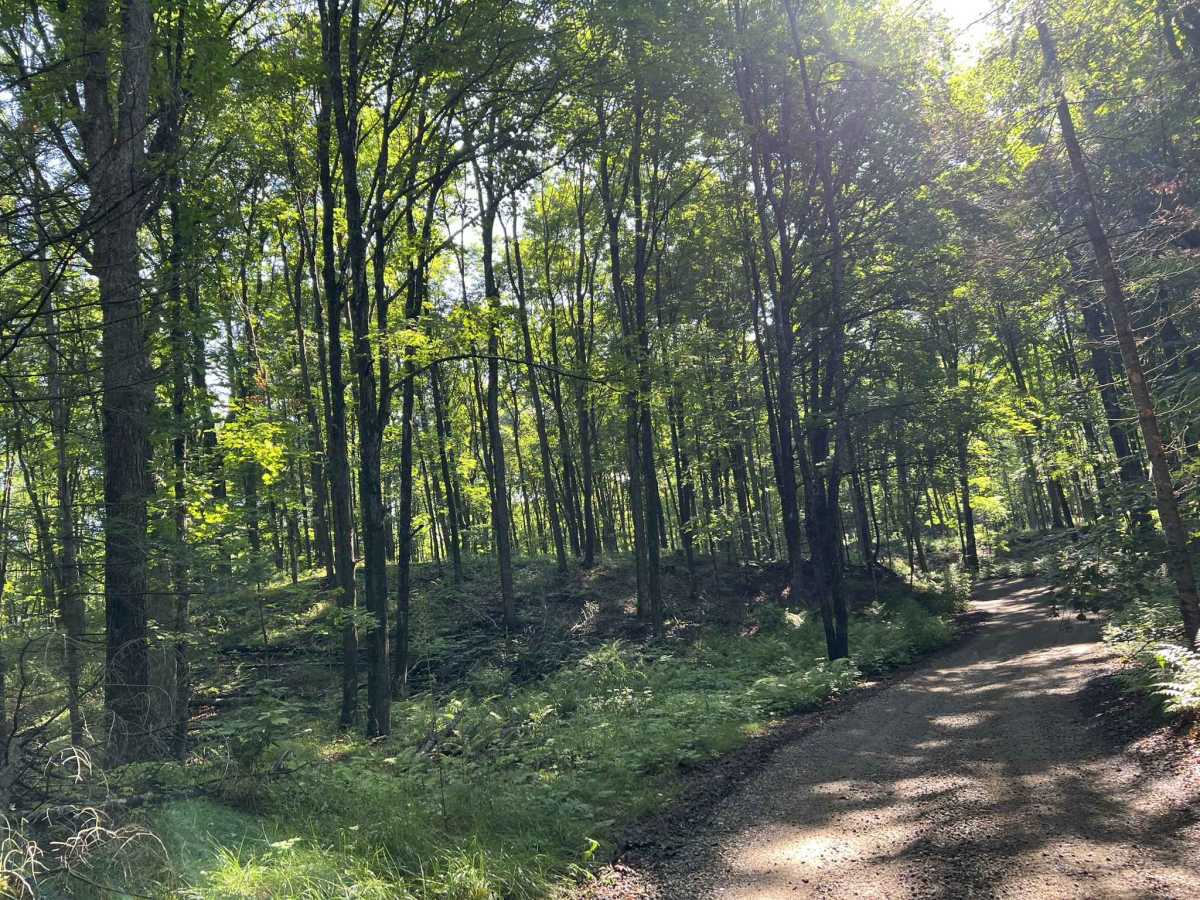 Rock Creek Road - Florence County F14 photo 6