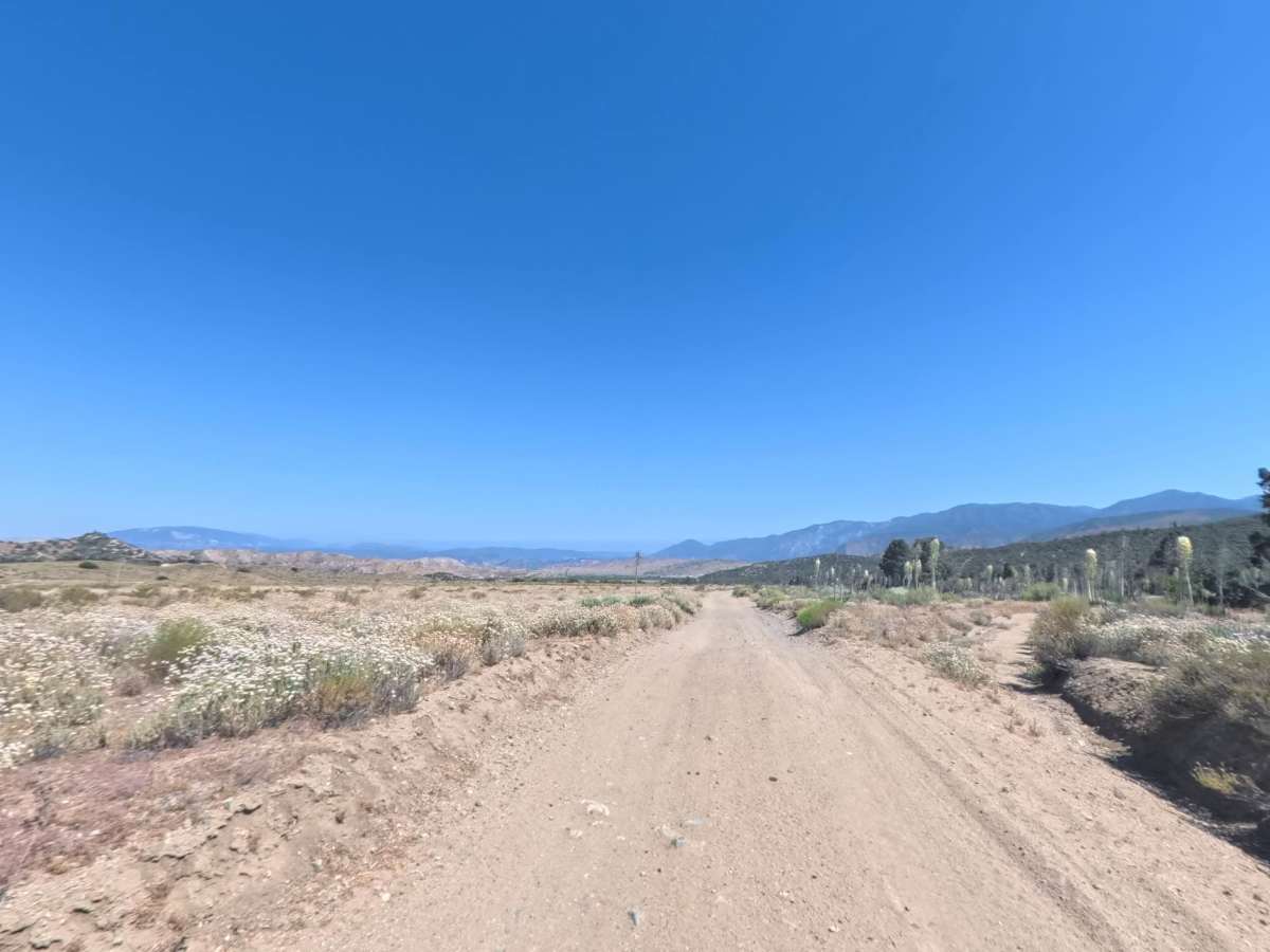 Maxey Ranch Road Spur photo 6