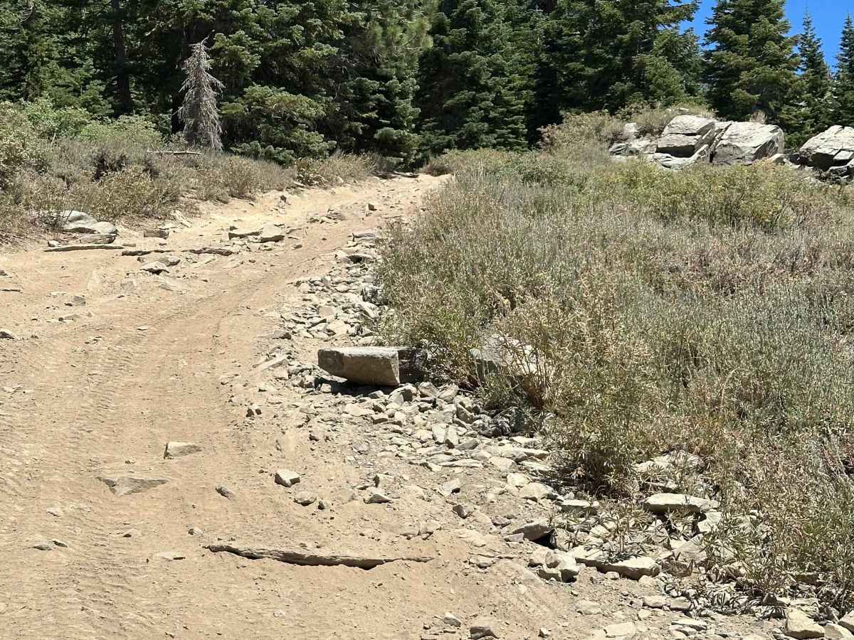 Genoa Peak Summit photo 3