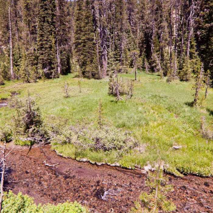 Near Annie Creek Canyon Loop Trail