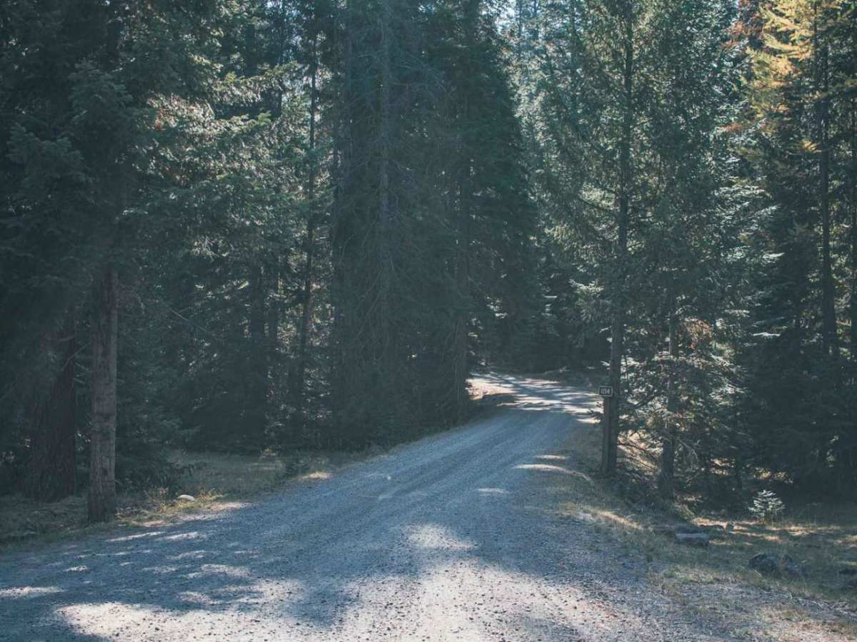 Bear Creek Mountain photo 5