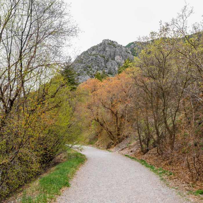 Near Logan River Trail