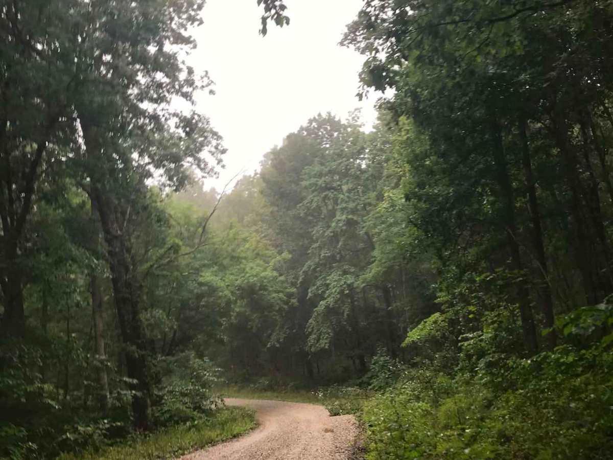 Paddle Creek  photo 5