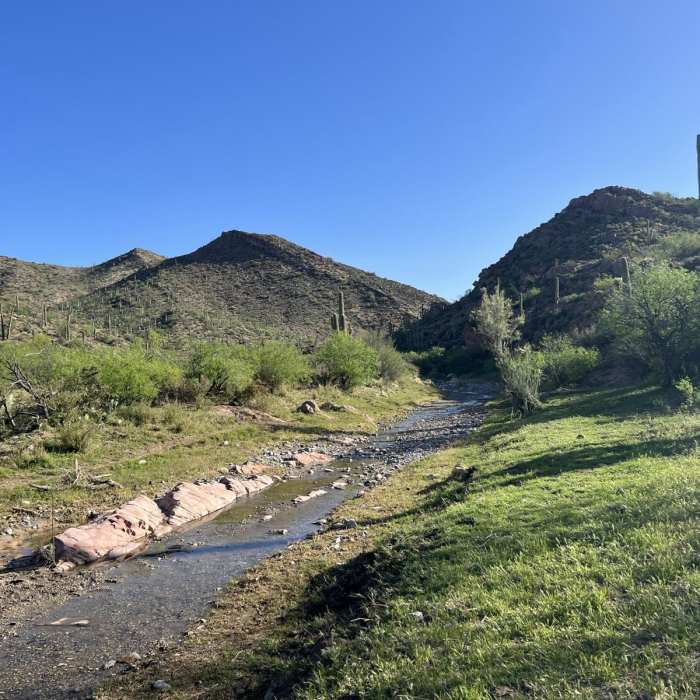 Near Reavis Canyon / Happy Camp Loop