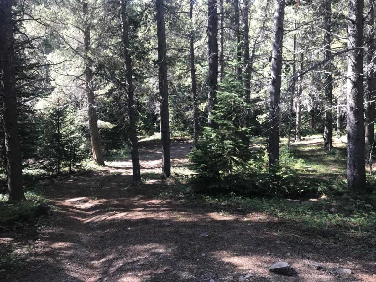 Buckeye Mountain Road 512.1 photo 5