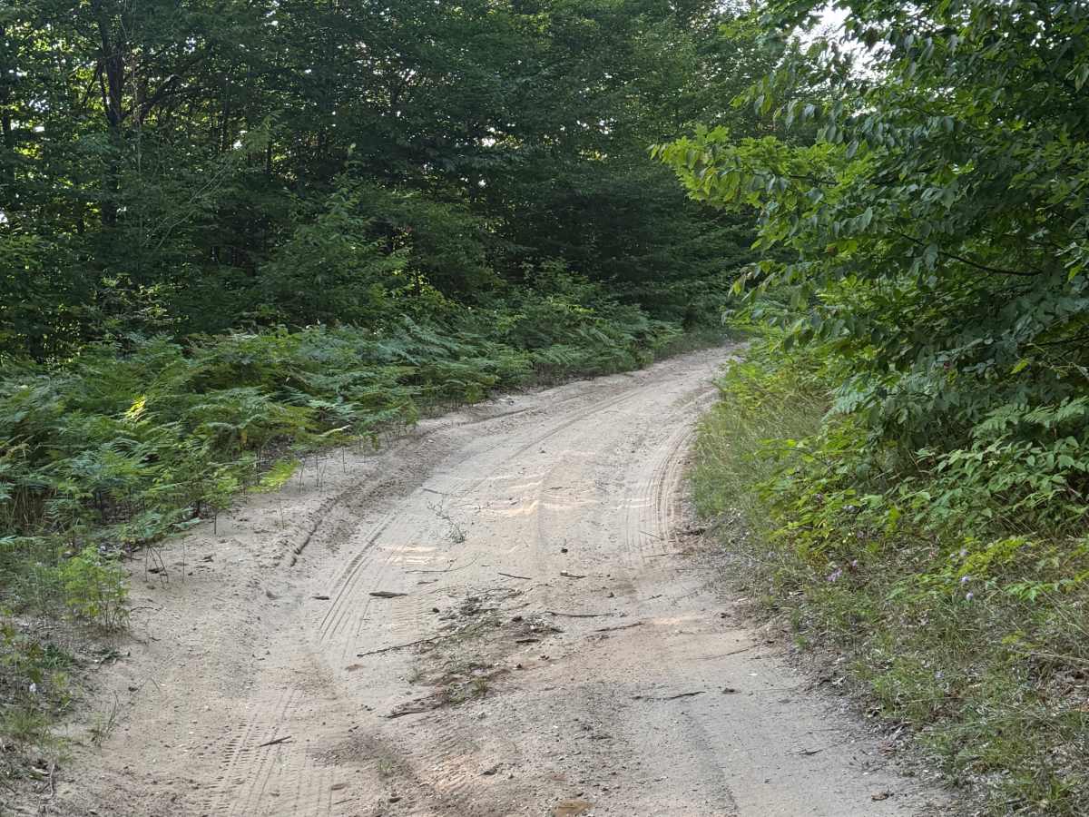 Pine Ridge Trail photo 3