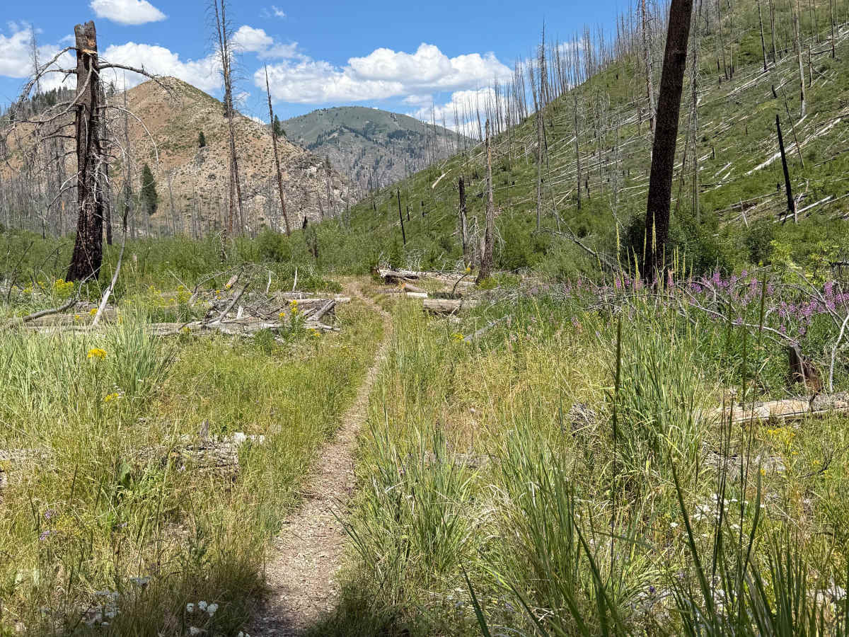 Gardner Gulch photo 6