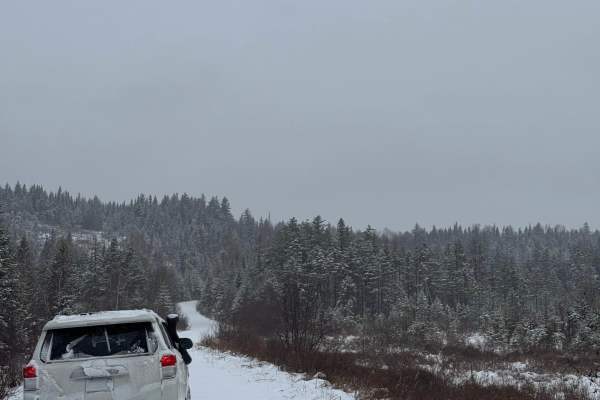 North Pond Road 