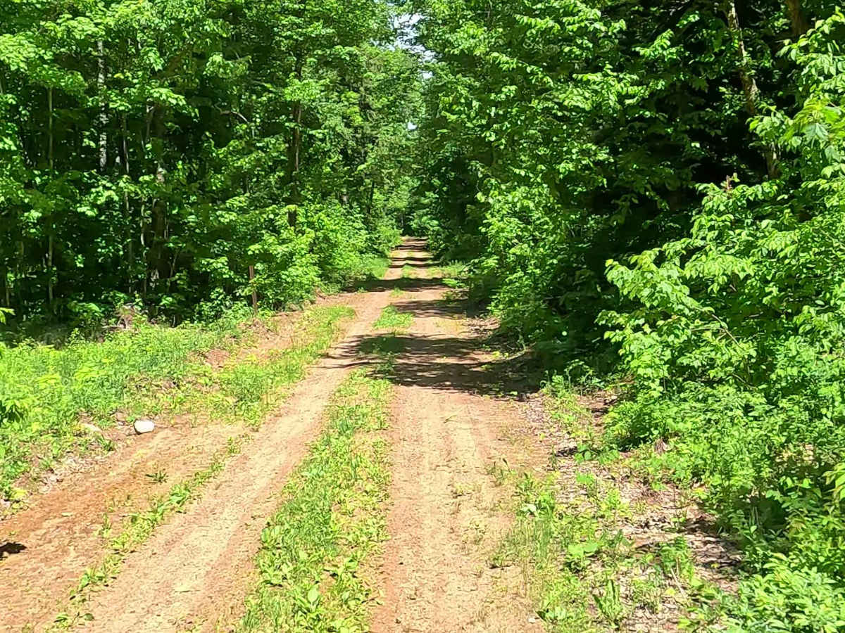 Menge Bypass Loop photo 2