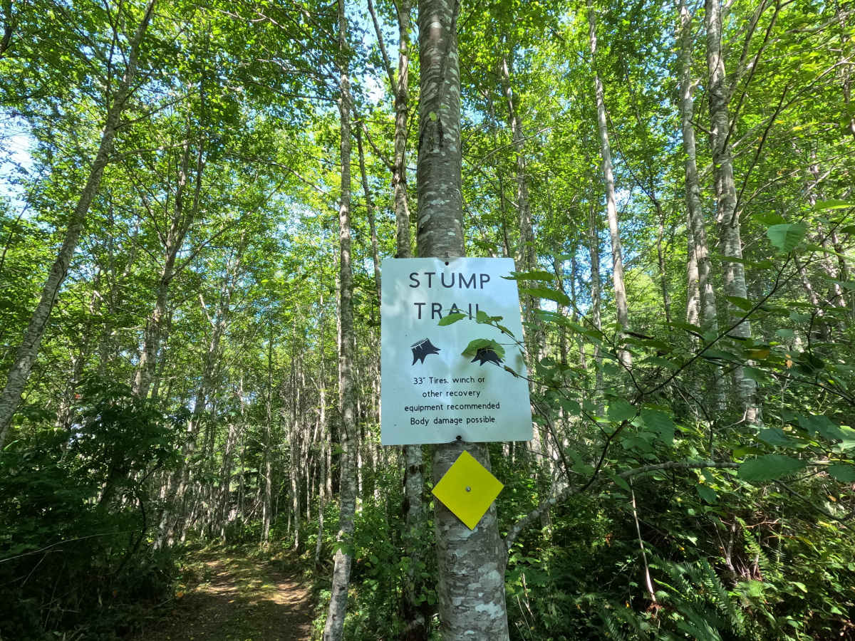 Stump Trail photo 2
