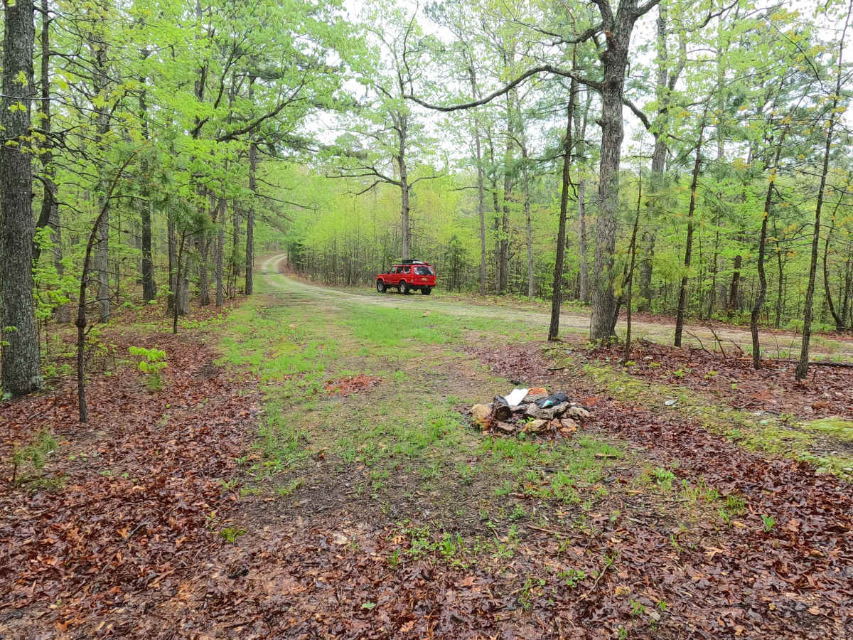 Rocky Top - FS 2663 photo 3