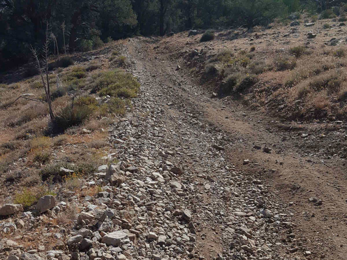 West Frazier Trail - FS 20W03 photo 6