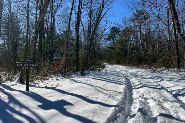 Old Tar Road