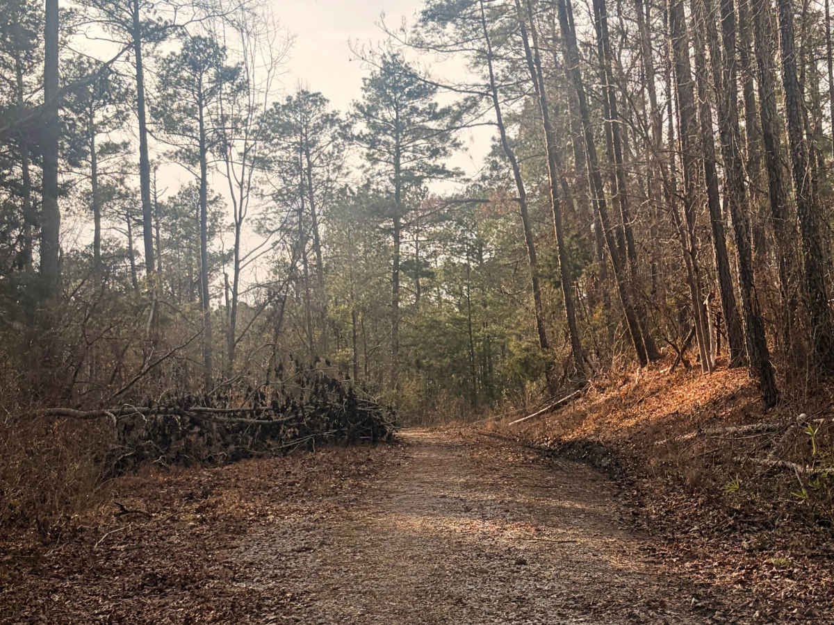 FS 570A trail photo