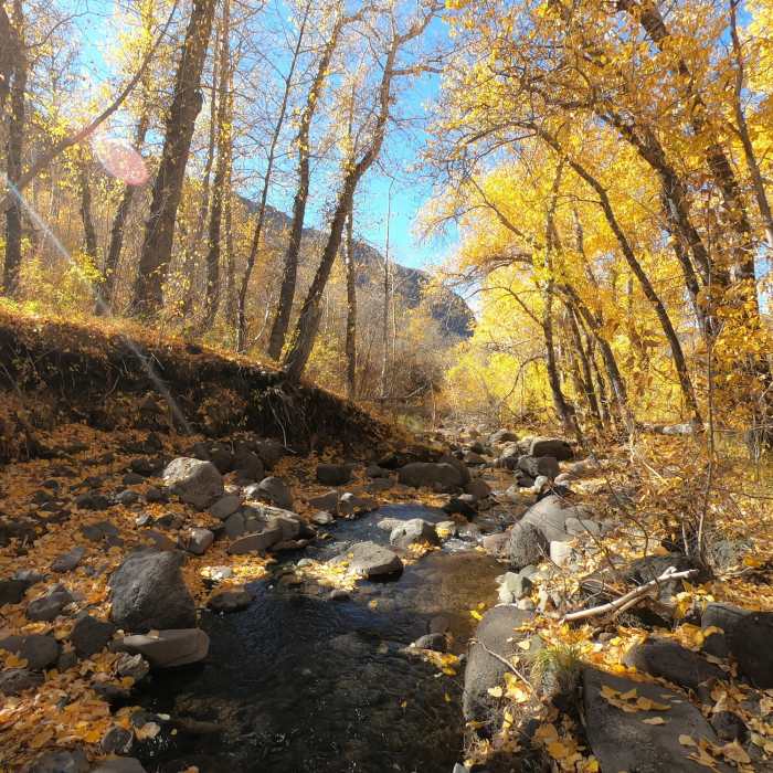 Near Little Blitzen Gorge Trail