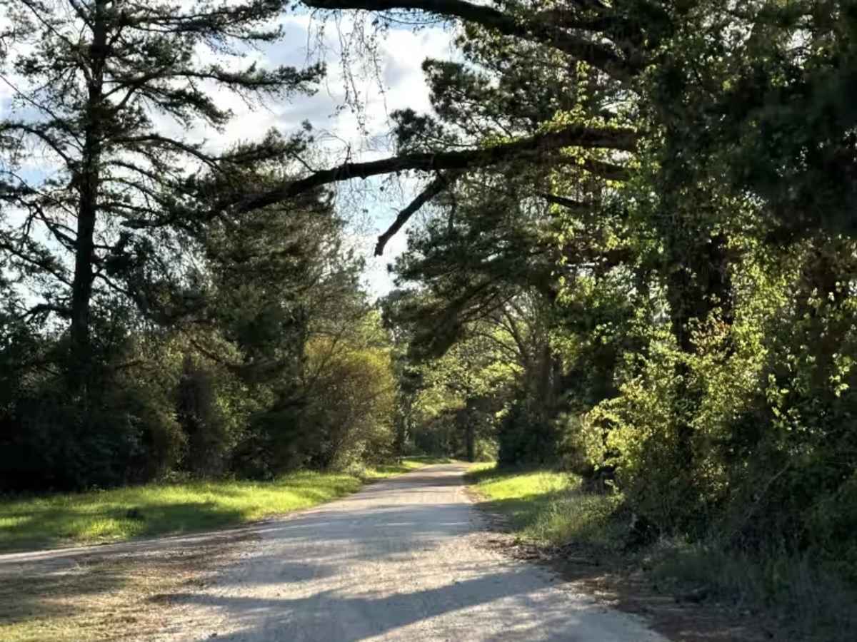 County Road 2729 trail photo