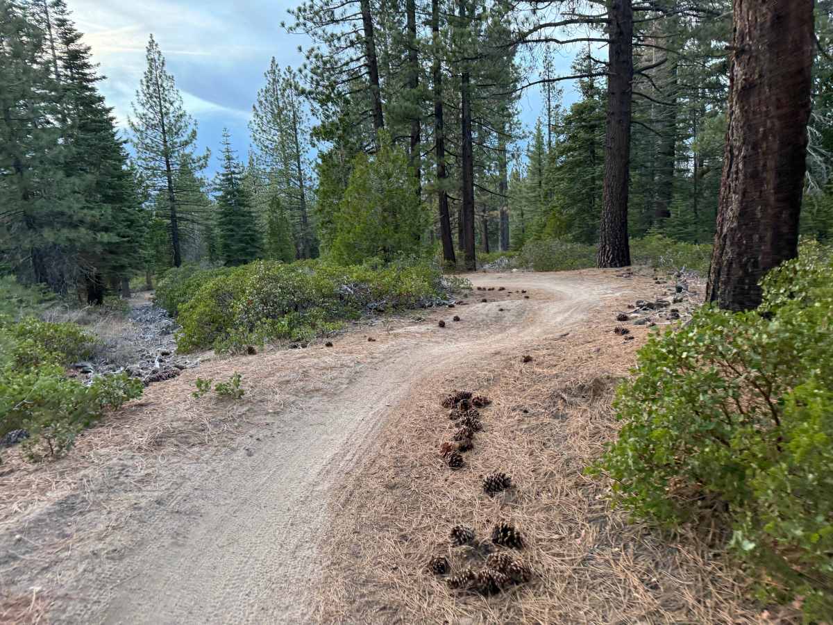 Corral Trail Alt Turns photo 4