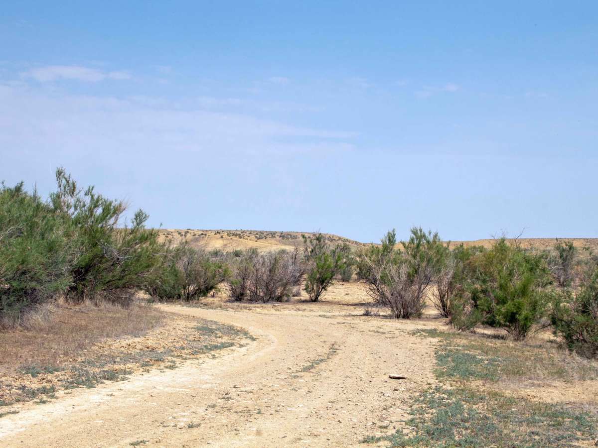 Badger West - FS 60160 trail photo