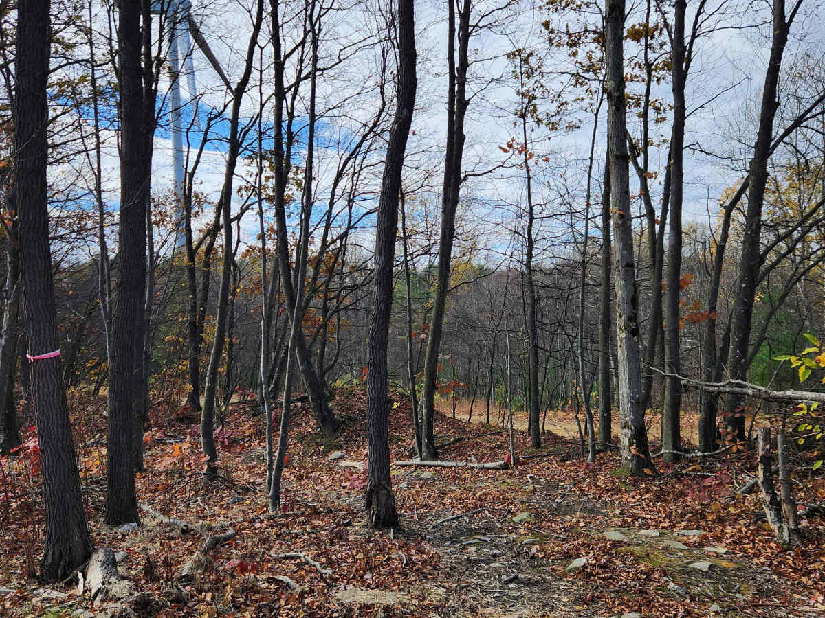 OHV 9 - Rock Run Recreation Area photo 2