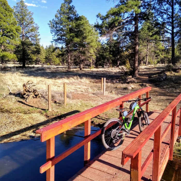 Near Tom Moody Trail