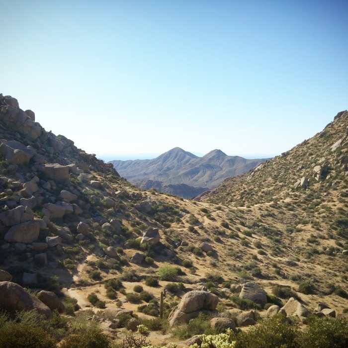 Near East End Trail