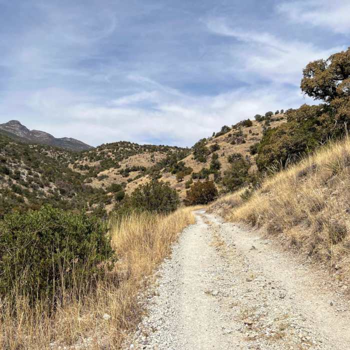 Near Arizona Trail Passage 4: Temporal Gulch