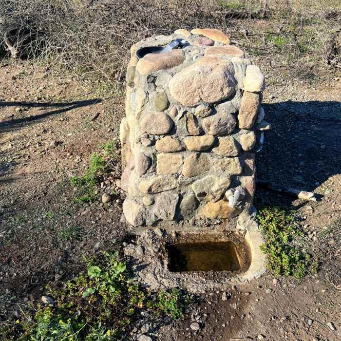 Near Zuma Canyon Trail
