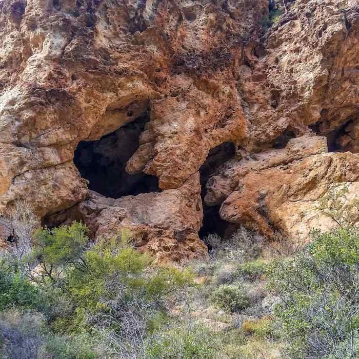 Near Rogers Canyon Trail