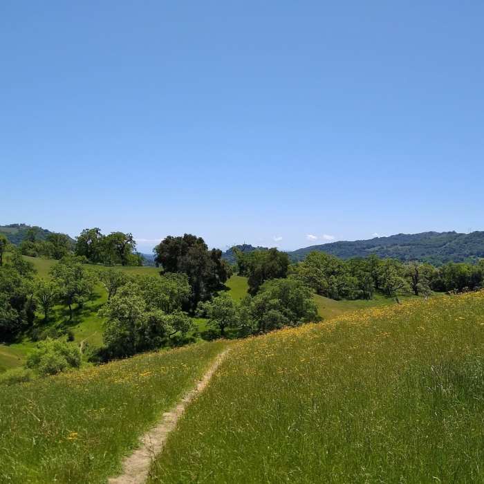 Near Bass Lake Trail