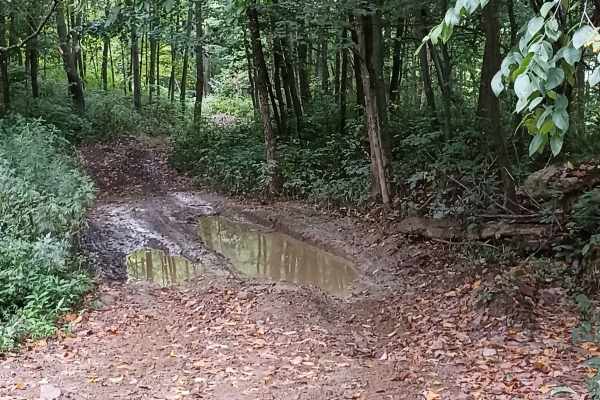 Rock Den Ridge Top Bypass - Rock Run Recreation Area