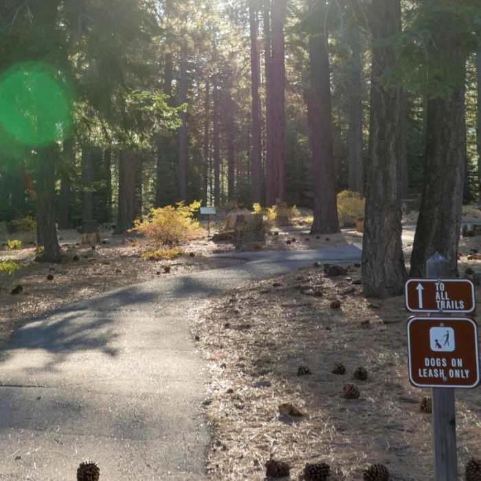 Near Spooner Lake Loop Hike