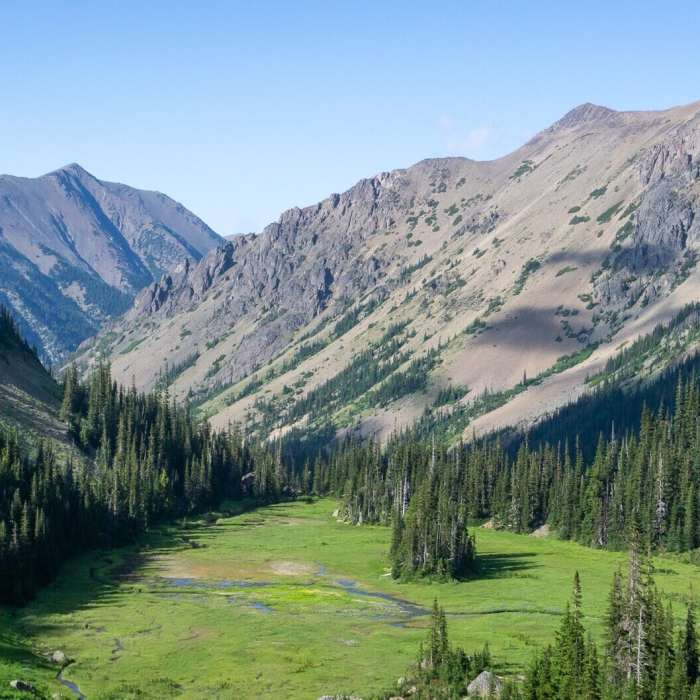 Near Royal Basin Trail