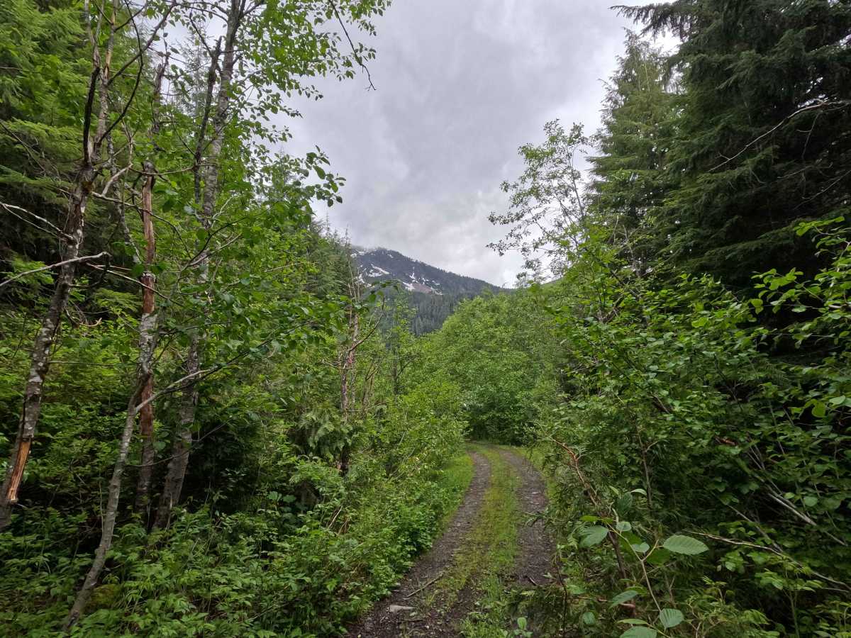 Hawkins Lake - FS 1840 photo 6
