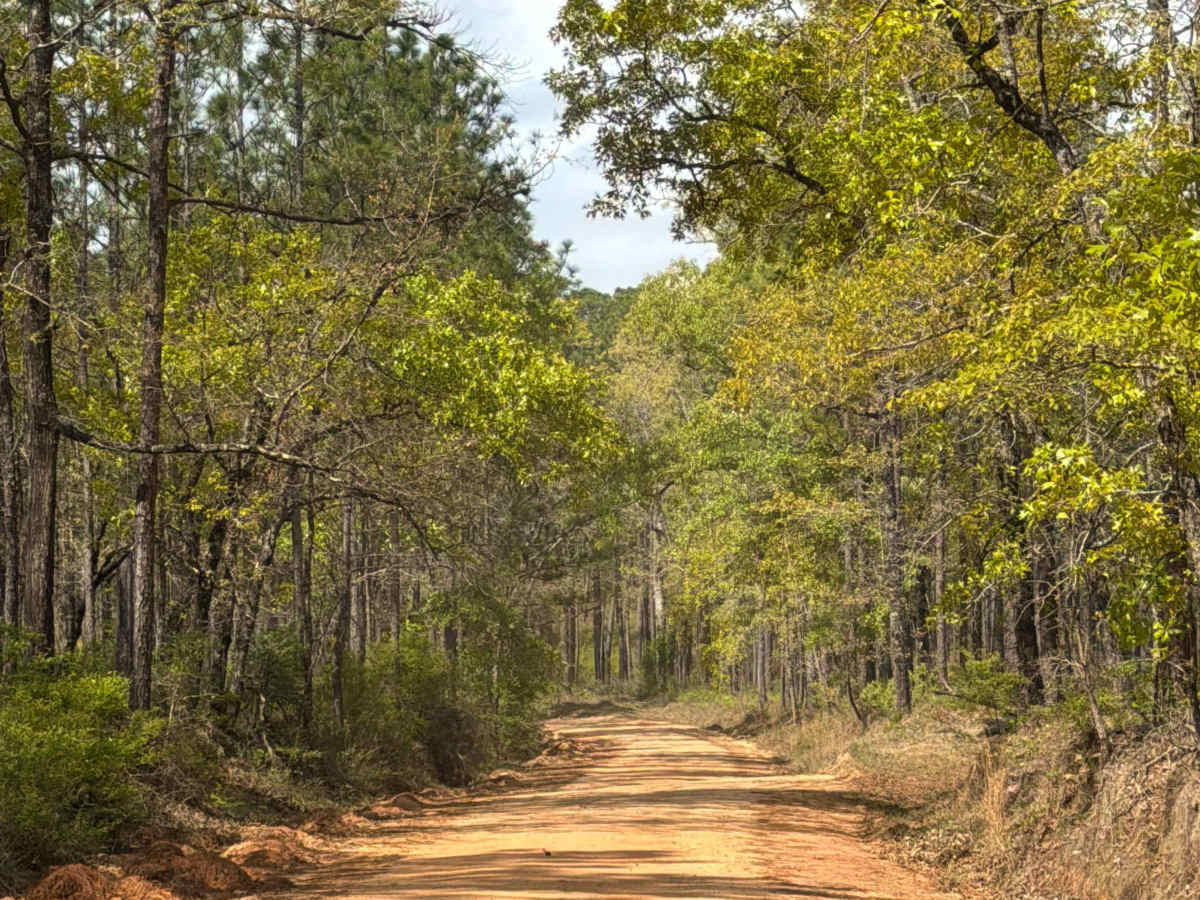 Carpenter Road photo 3