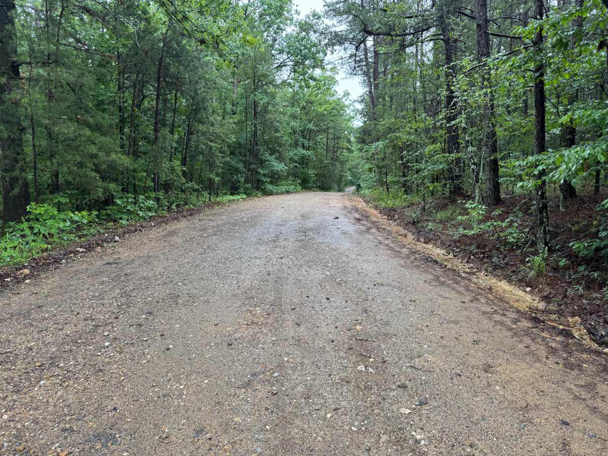 West Gaston photo 3