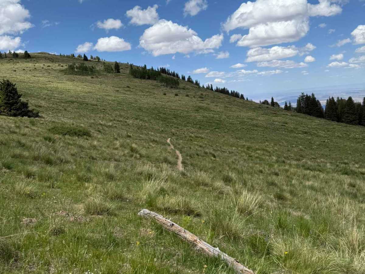 Robertson Pasture Trail No. 020 photo 6