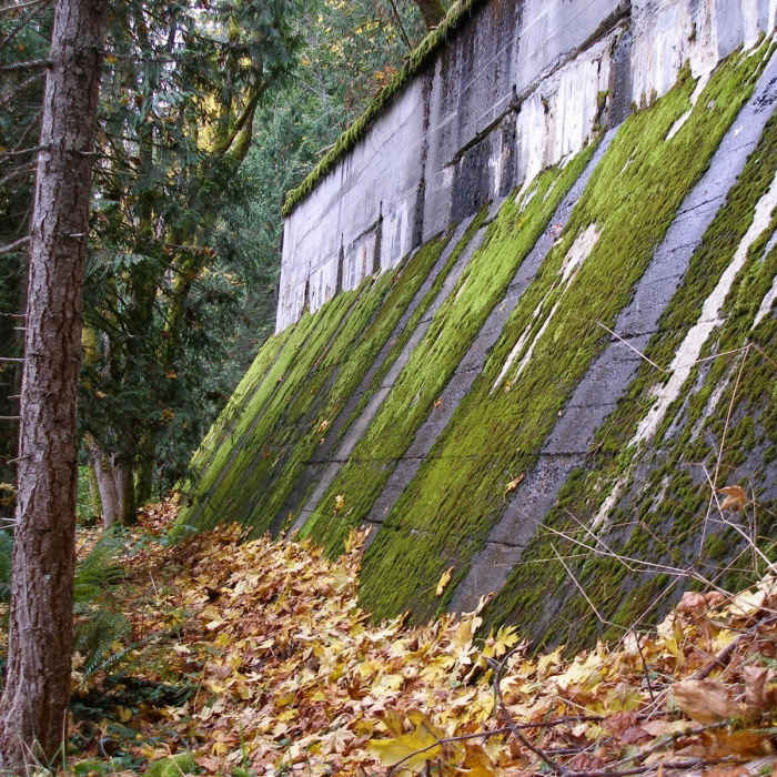 Near Iron Goat Trail