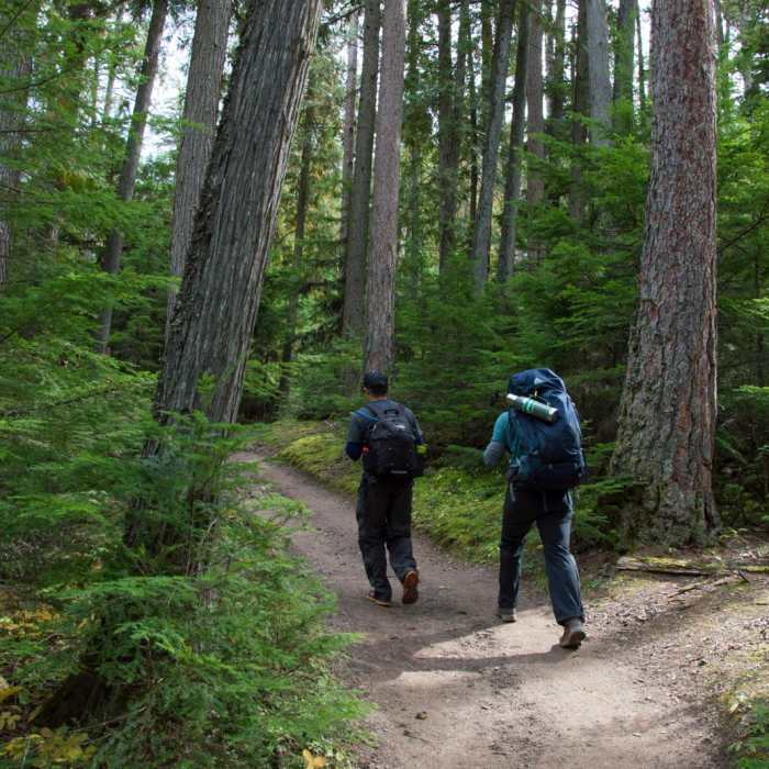 Near Sperry Trailhead to Sperry Chalet