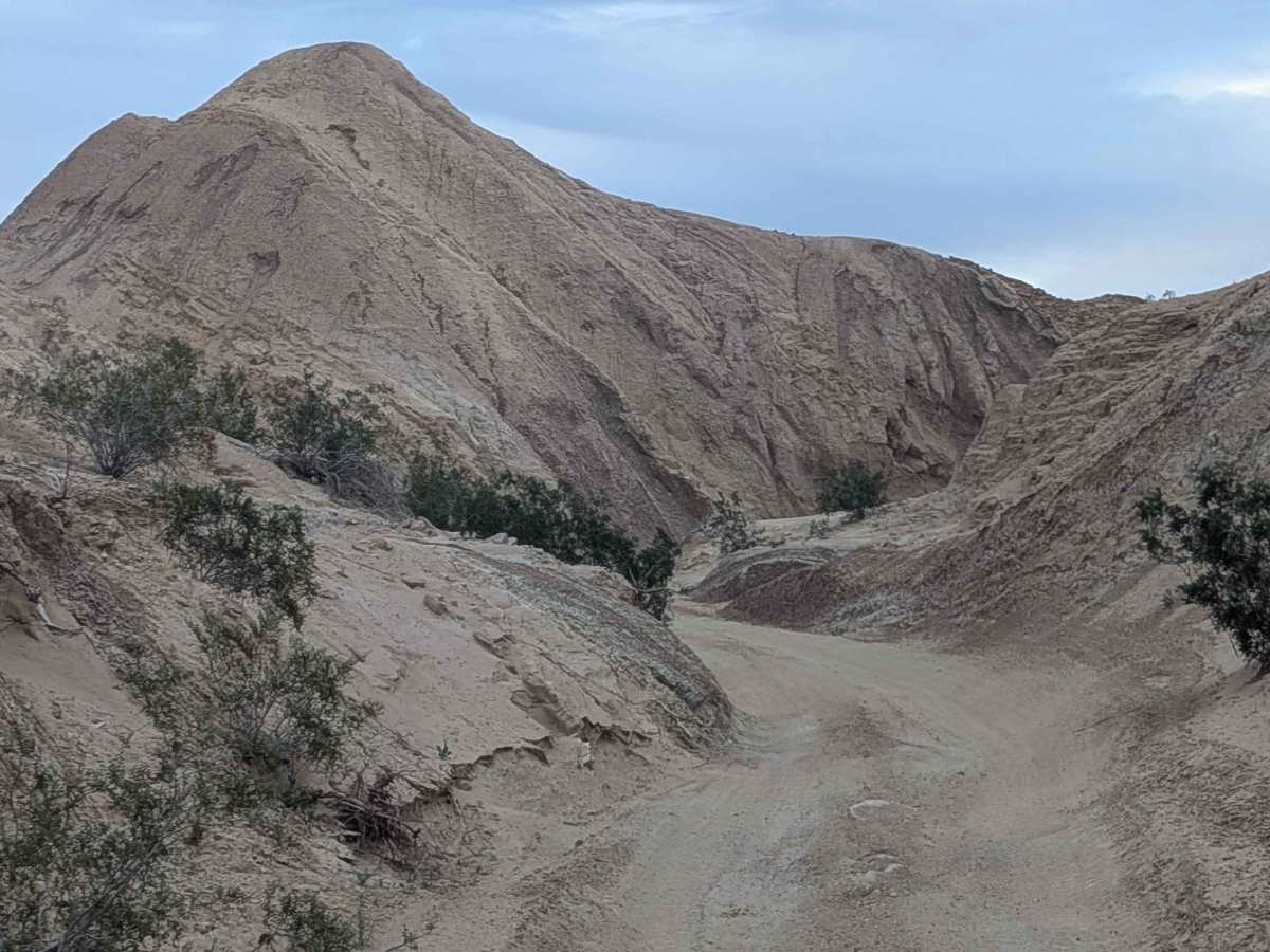 BLM 173 photo 3