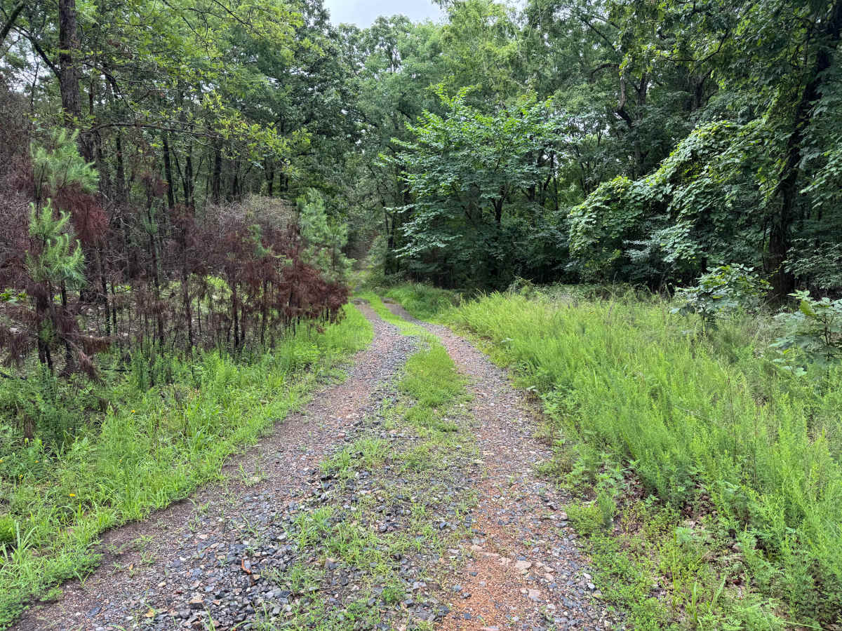 Mullins Loop photo 2