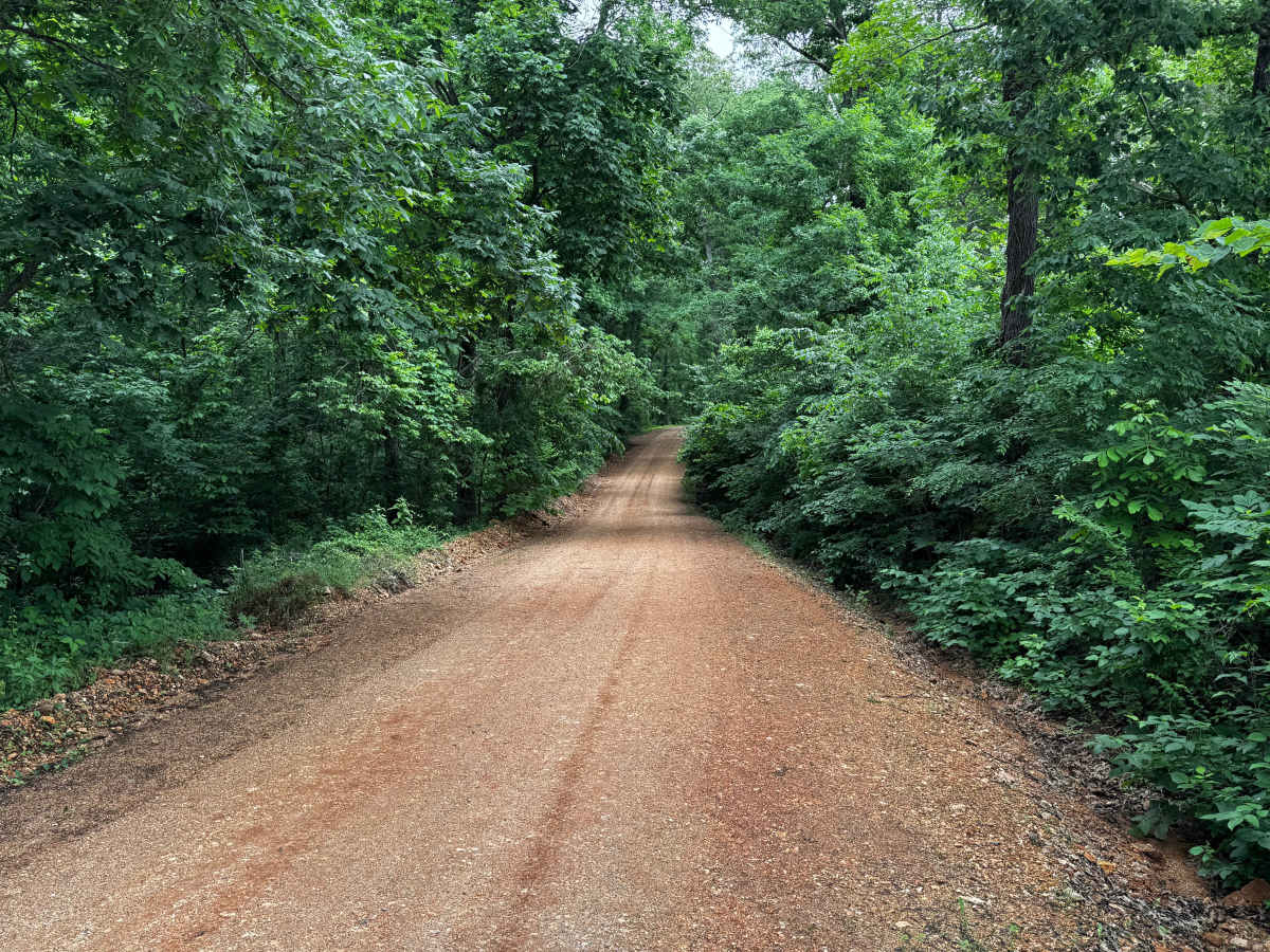 North Mill Creek trail photo