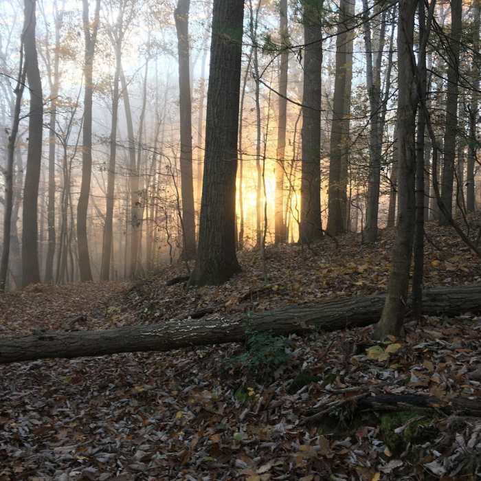 Near Paper Mill Road Trails at NCR
