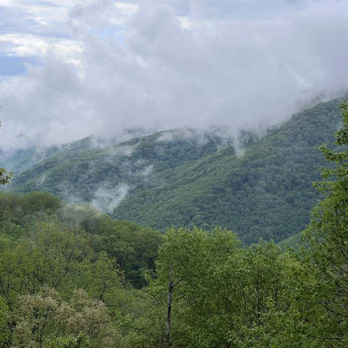 View from North Old Mac backcountry campsite great place to camp if you want to spend the night. Near North & South Old Mac Trail