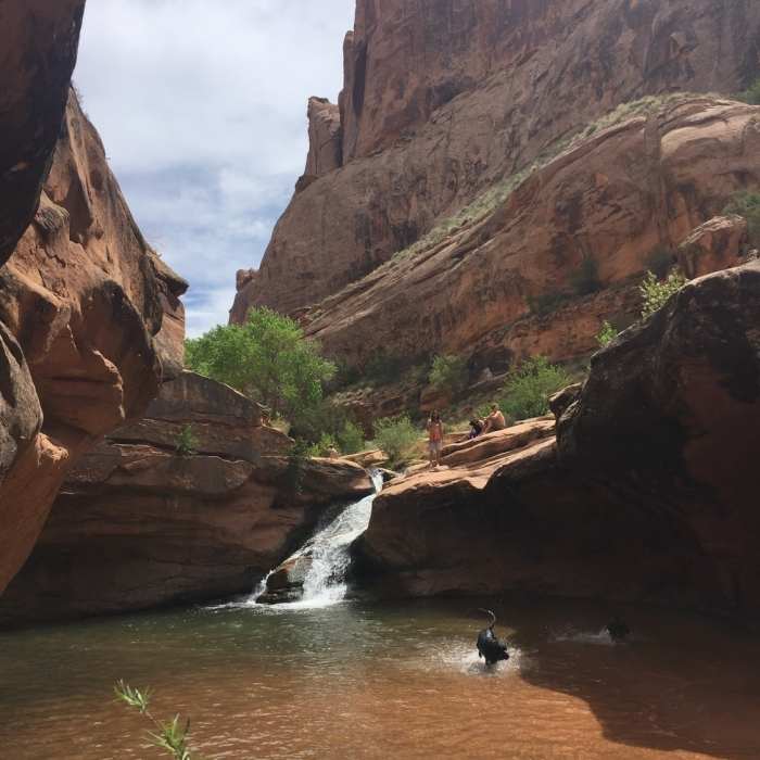 Near Mill Creek Waterfall Out and Back