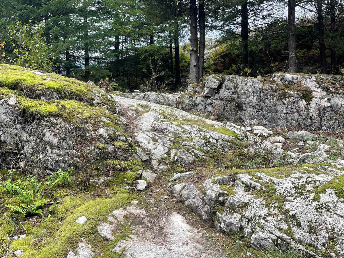 Viewpoint- The Long Way photo 2